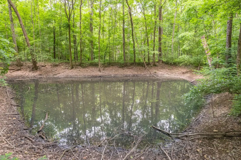 0 Haze Hyde Hollow Rd Bethpage, TN 37022