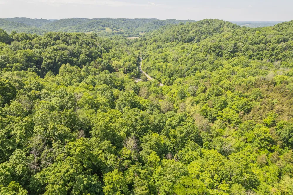 0 Haze Hyde Hollow Rd Bethpage, TN 37022