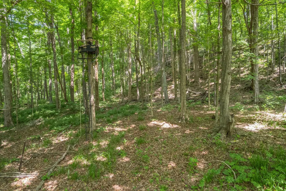 0 Haze Hyde Hollow Rd Bethpage, TN 37022