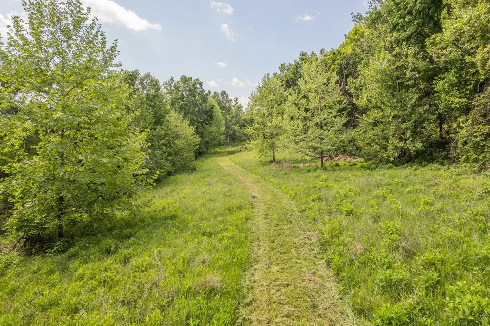0 Haze Hyde Hollow Rd Bethpage, TN 37022