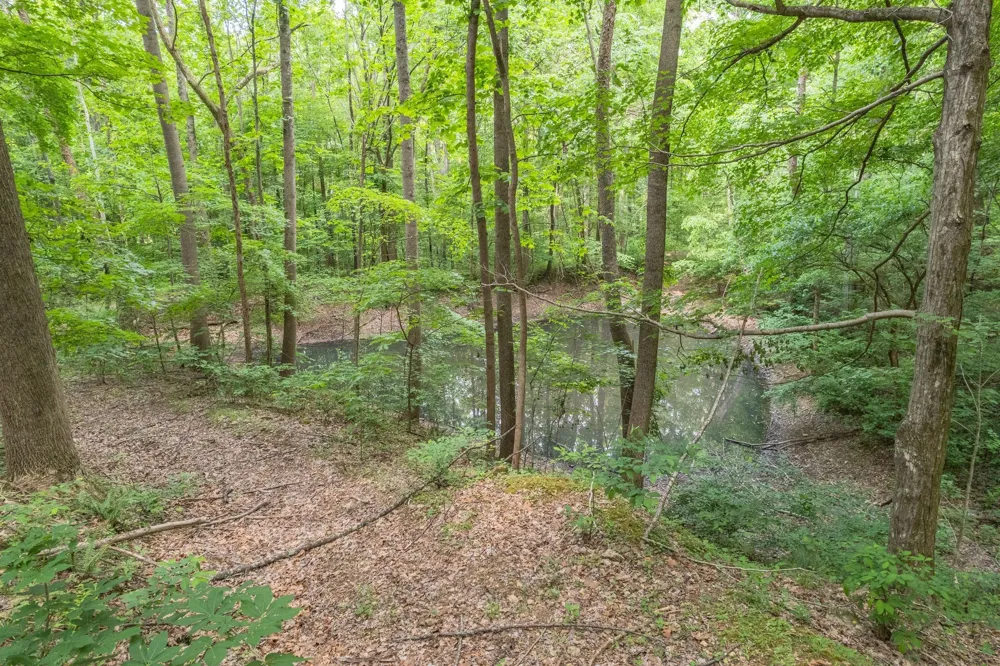 0 Haze Hyde Hollow Rd Bethpage, TN 37022