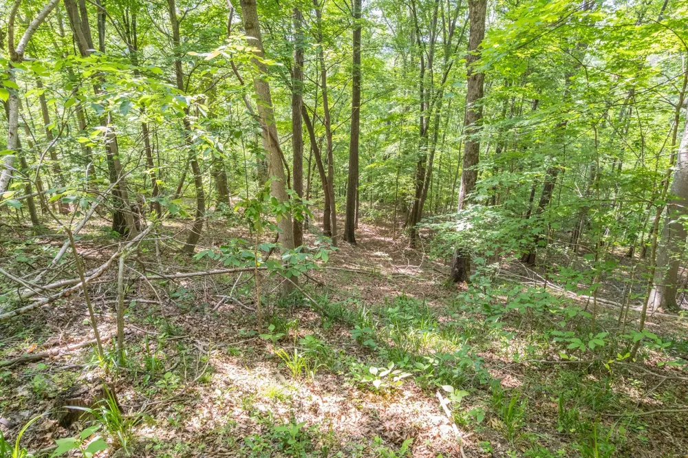 0 Haze Hyde Hollow Rd Bethpage, TN 37022