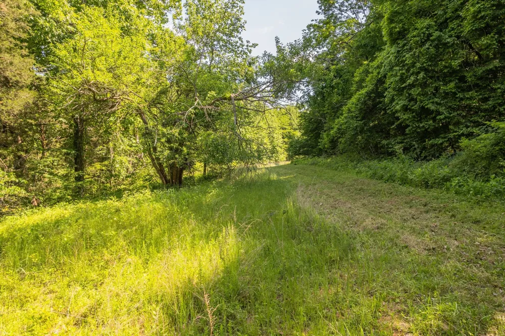 0 Haze Hyde Hollow Rd Bethpage, TN 37022