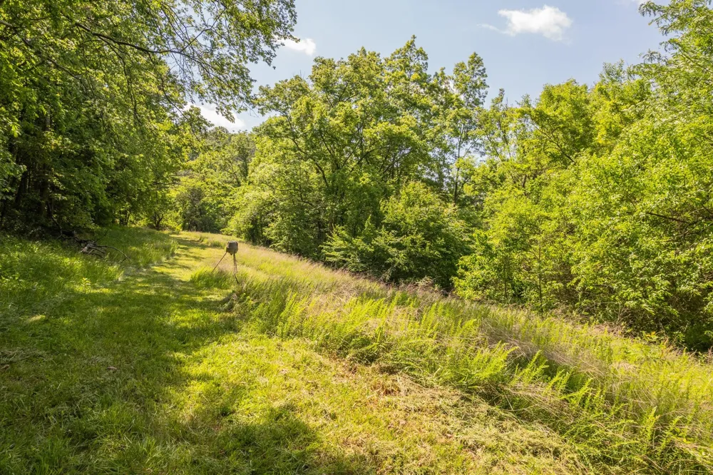 0 Haze Hyde Hollow Rd Bethpage, TN 37022