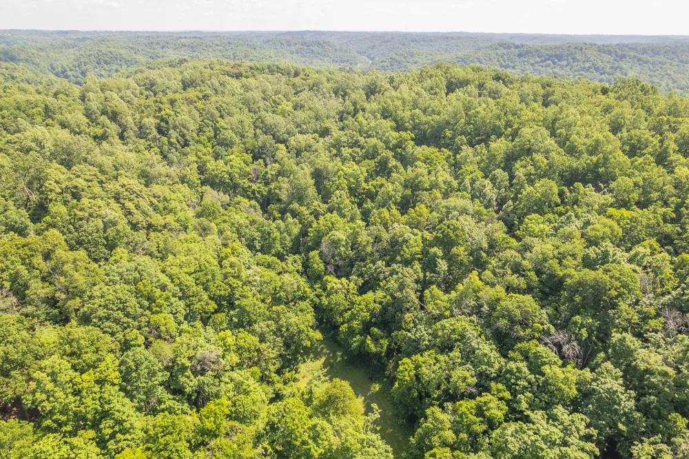 0 Haze Hyde Hollow Rd Bethpage, TN 37022