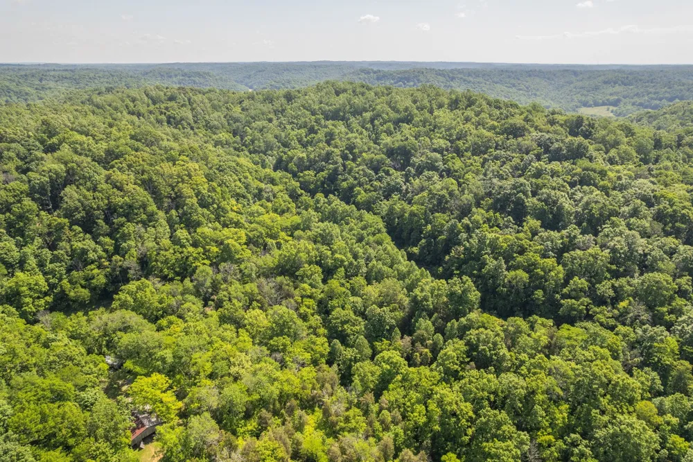 0 Haze Hyde Hollow Rd Bethpage, TN 37022
