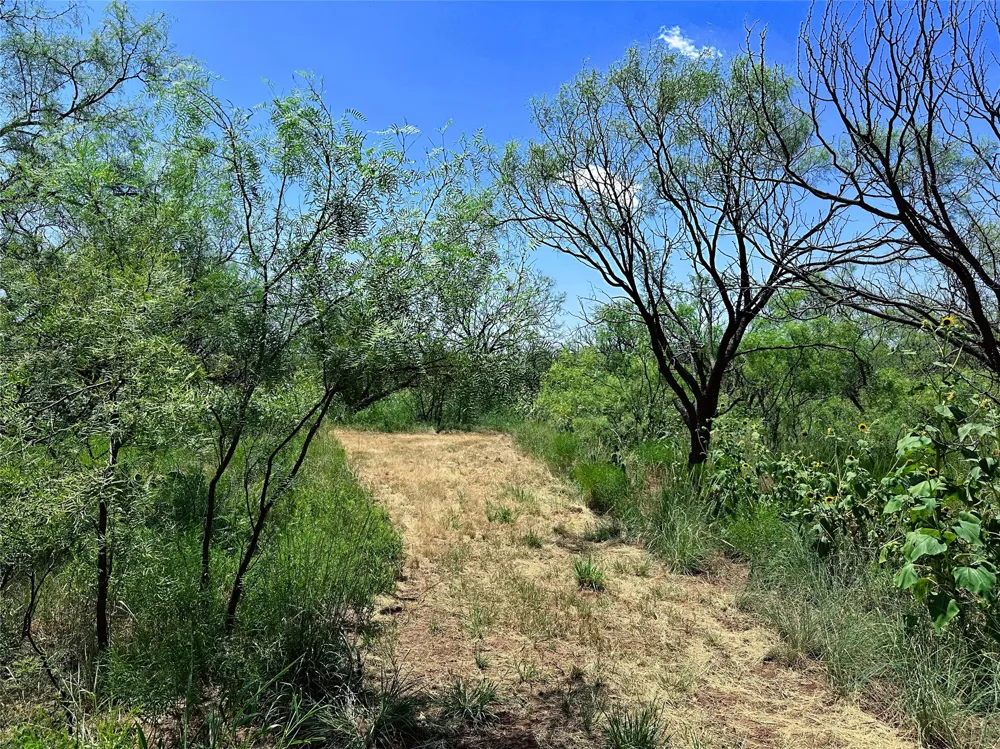 County Road 356 Anson, TX 79501