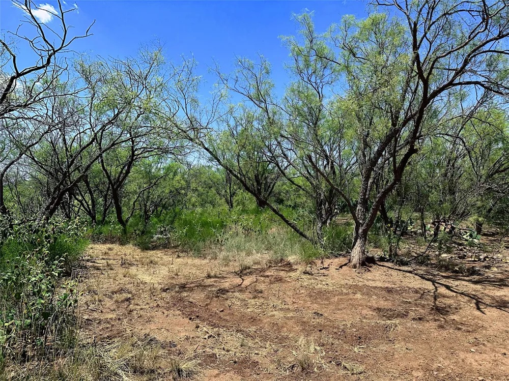 County Road 356 Anson, TX 79501