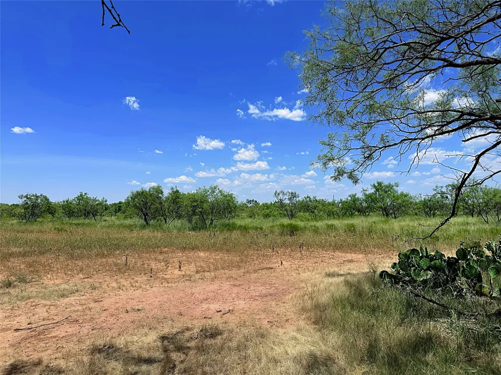County Road 356 Anson, TX 79501