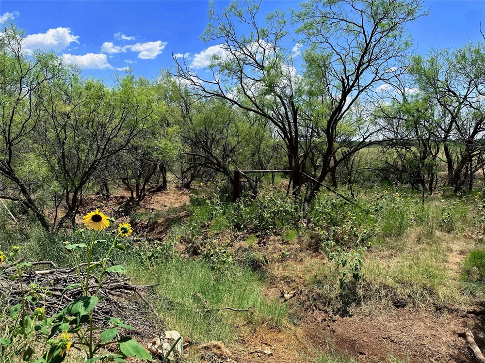 County Road 356 Anson, TX 79501