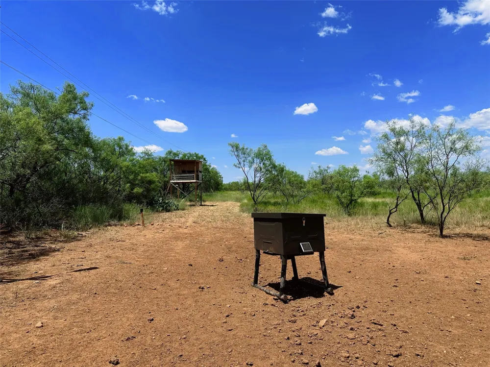 County Road 356 Anson, TX 79501