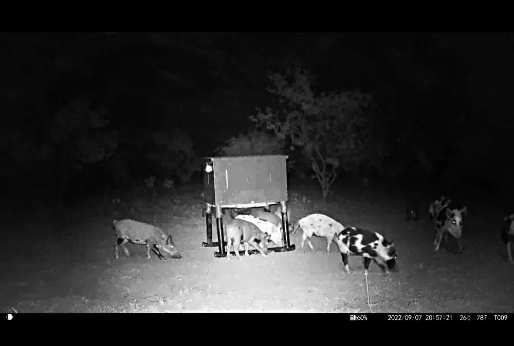 County Road 356 Anson, TX 79501