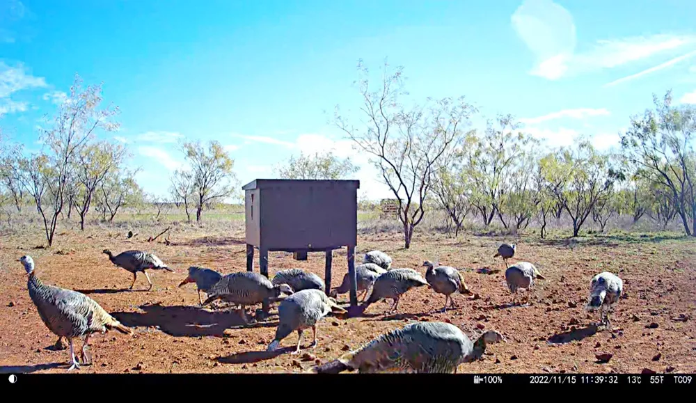 County Road 356 Anson, TX 79501