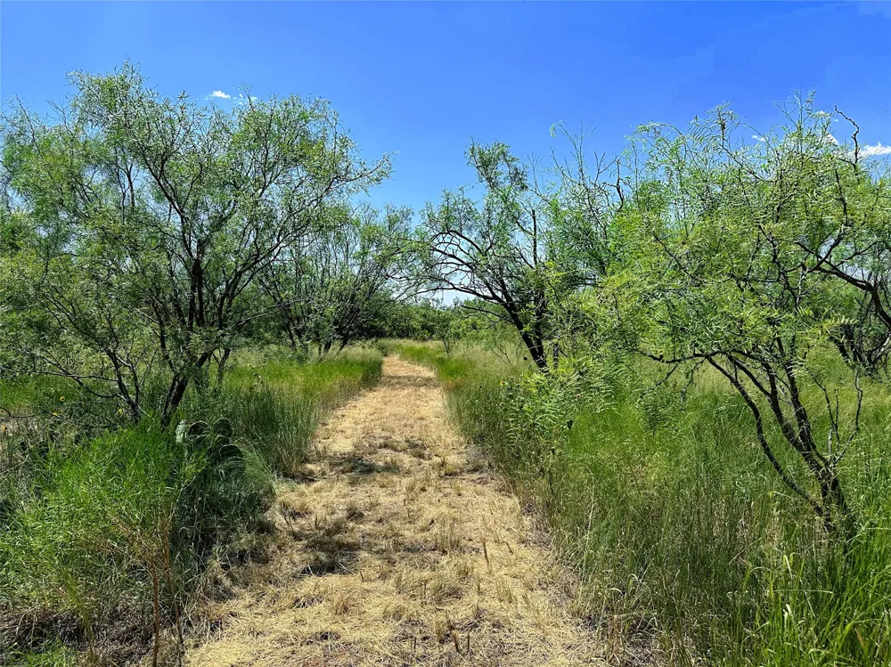 County Road 356 Anson, TX 79501