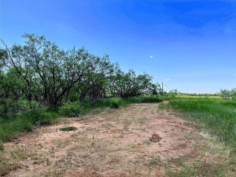 County Road 356 Anson, TX 79501