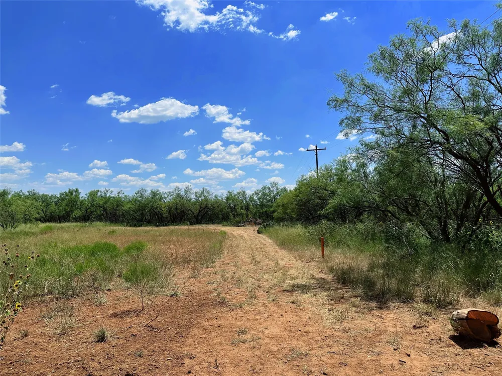 County Road 356 Anson, TX 79501