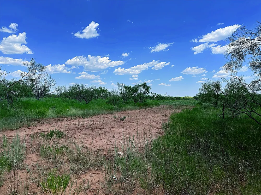 County Road 356 Anson, TX 79501