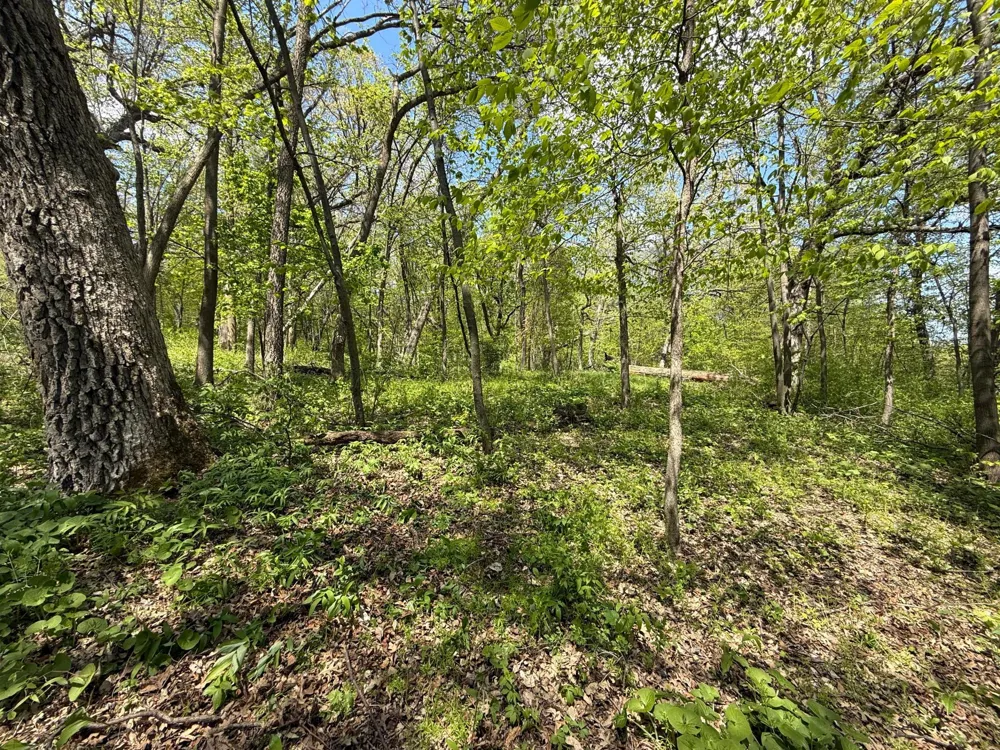 19318 308th Avenue Underwood, MN 56586