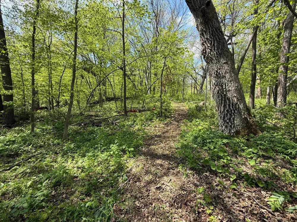 19318 308th Avenue Underwood, MN 56586