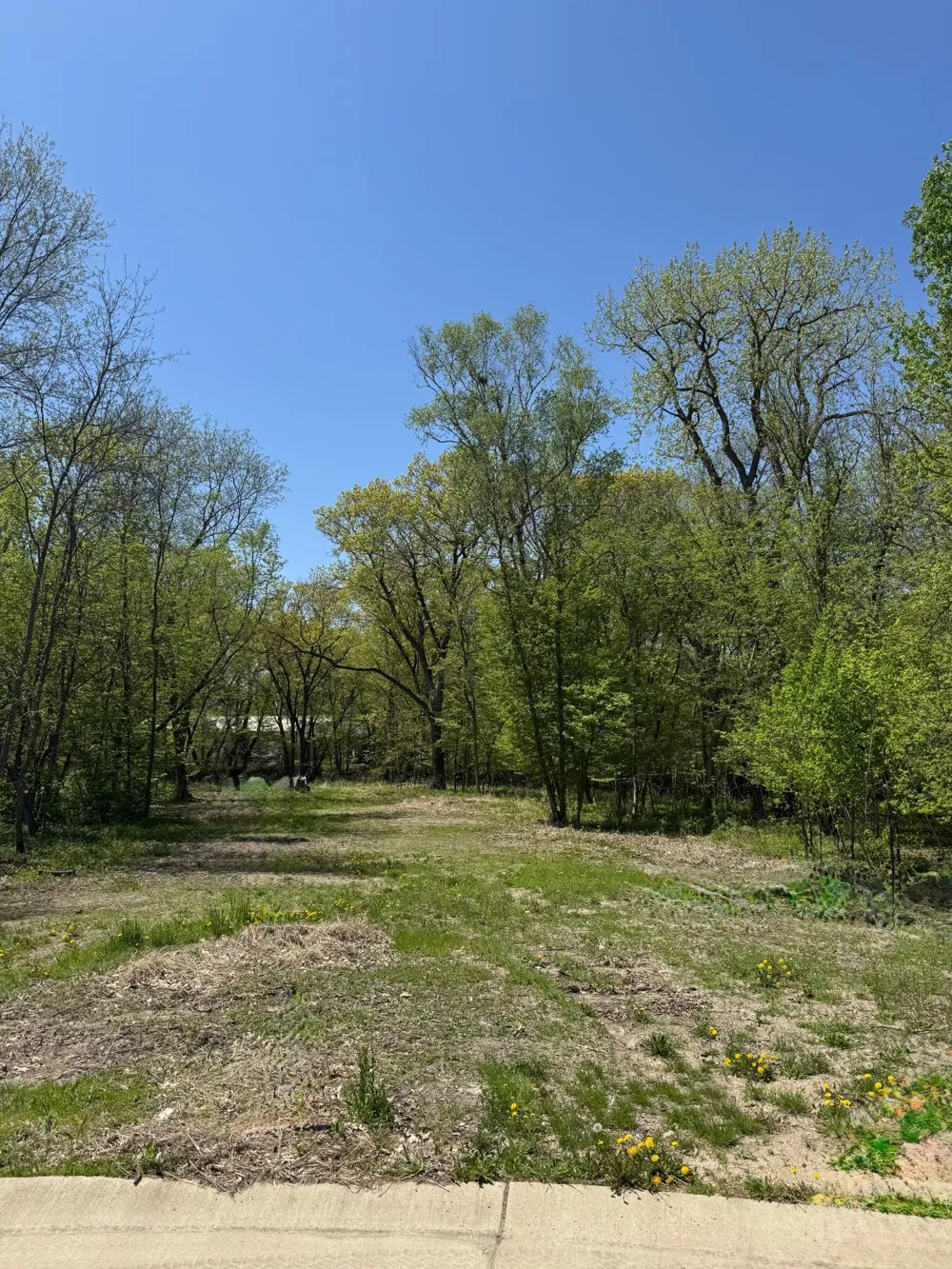 180 Woodland Drive Henderson, MN 56044