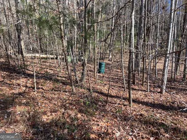 8 Cameron PT Cleveland, GA 30528