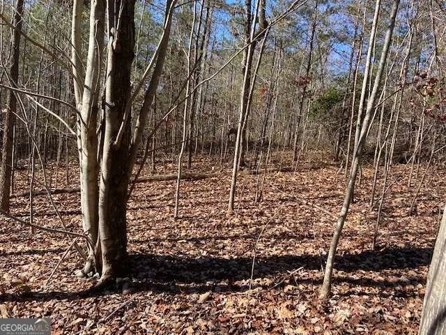 8 Cameron PT Cleveland, GA 30528