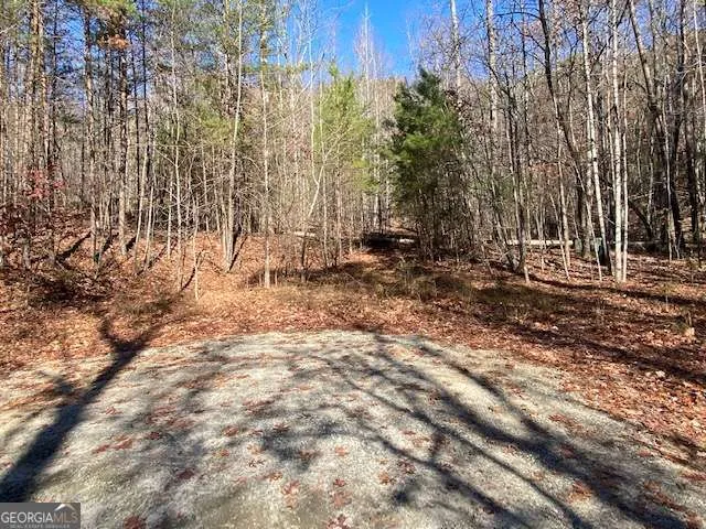 8 Cameron PT Cleveland, GA 30528