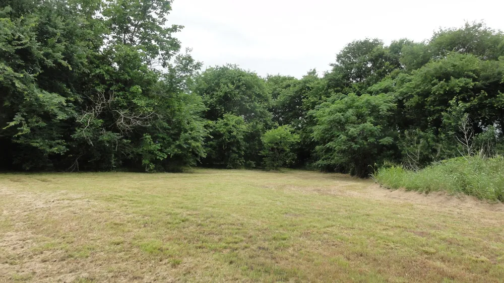 303 W College Street Trenton, TX 75490