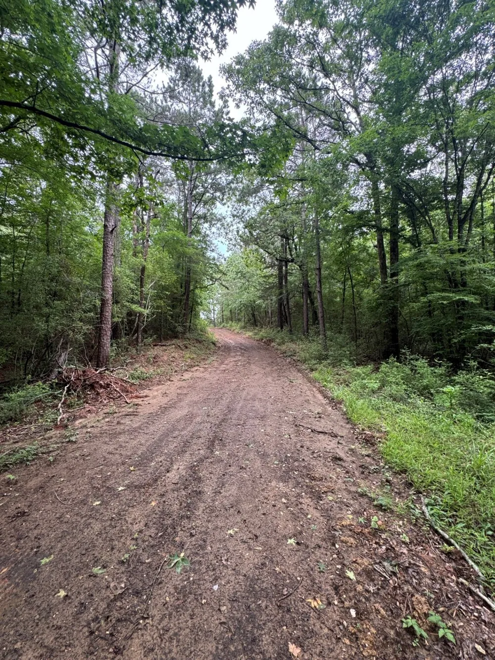 County Road 4679 Tenaha, TX 75974