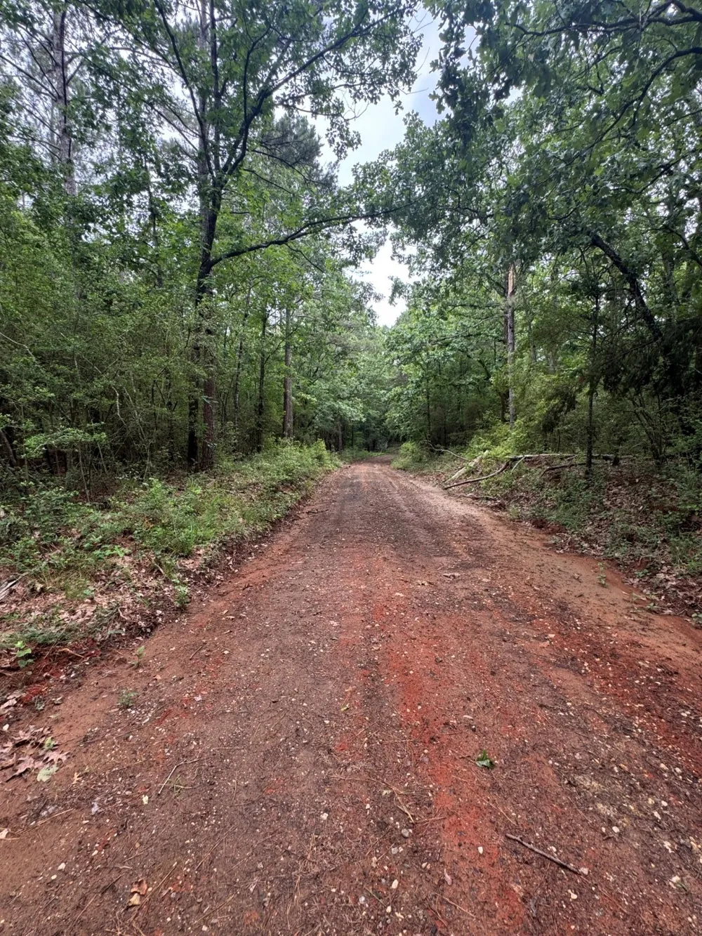 County Road 4679 Tenaha, TX 75974