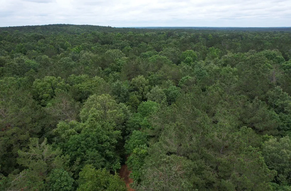 County Road 4679 Tenaha, TX 75974
