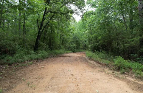 County Road 4679