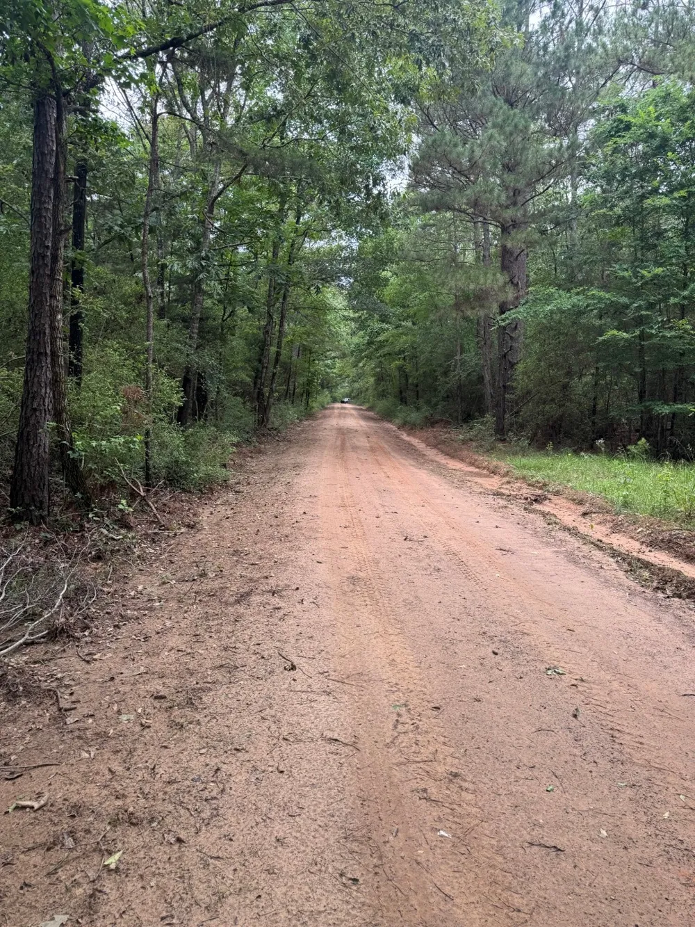 County Road 4679 Tenaha, TX 75974