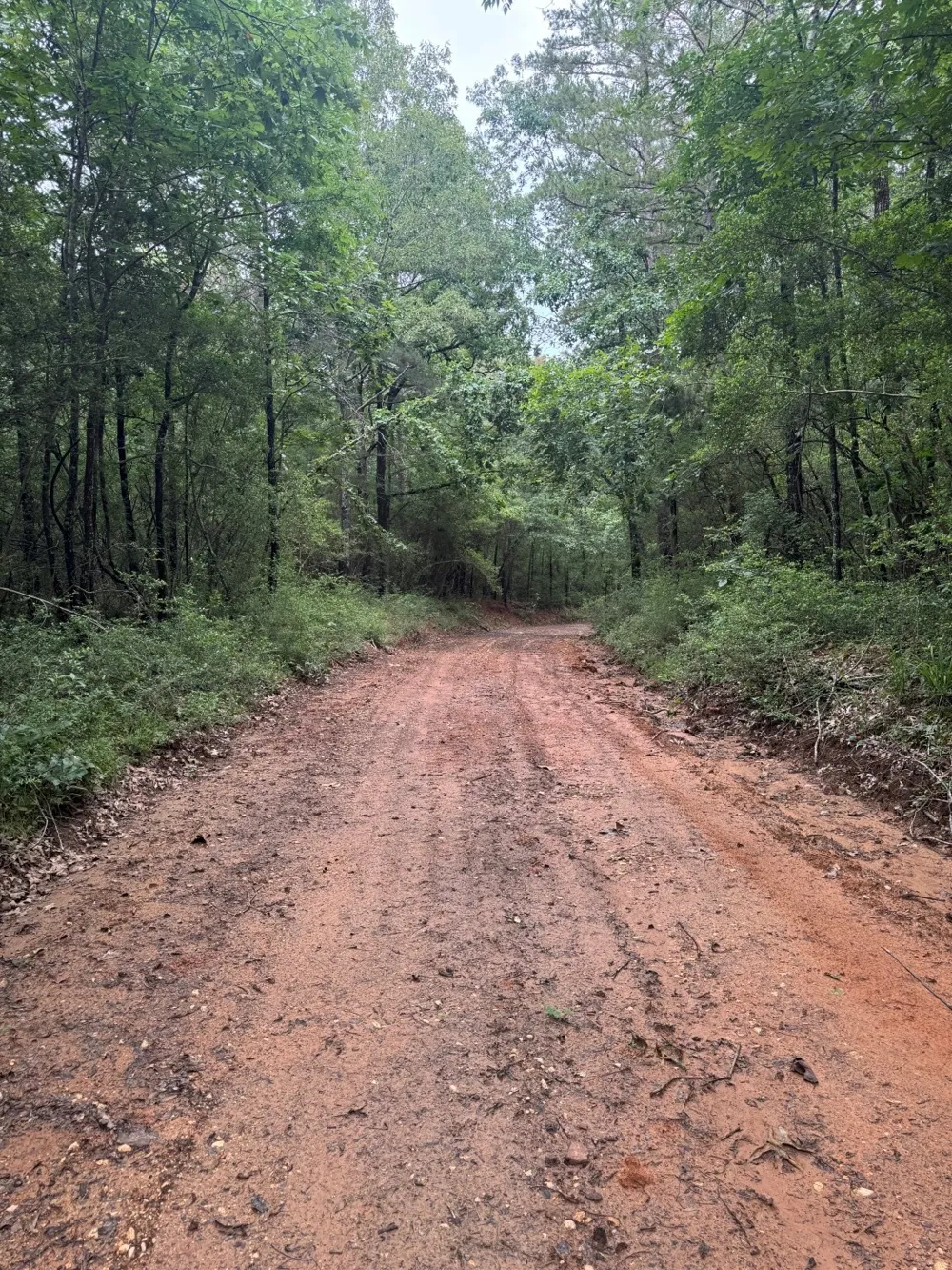 County Road 4679 Tenaha, TX 75974
