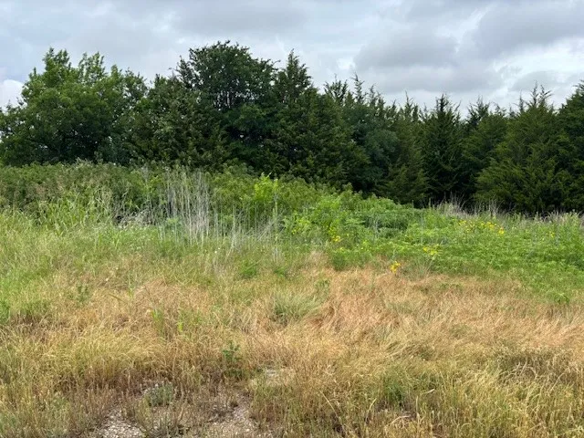 6 Nelson Street Grand Prairie, TX 75050