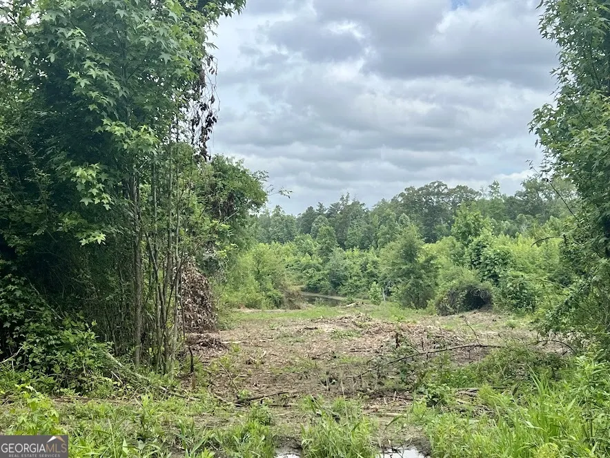 0 Folds Rd (Tract D 22.67 acres) Carrollton, GA 30116