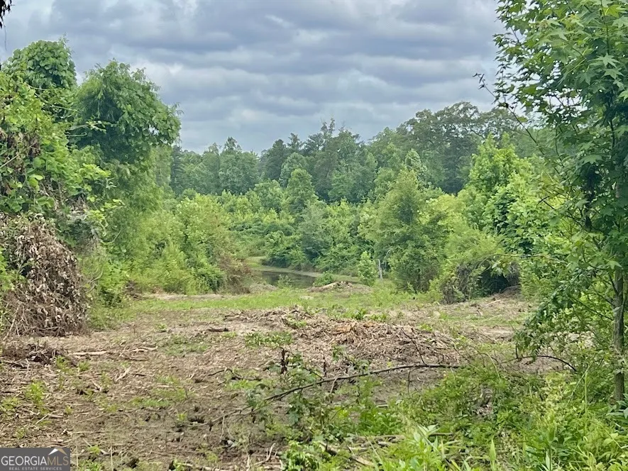 0 Folds Rd (Tract D 22.67 acres) Carrollton, GA 30116