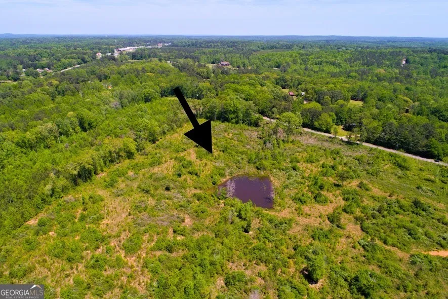 0 Folds Rd (Tract D 22.67 acres) Carrollton, GA 30116