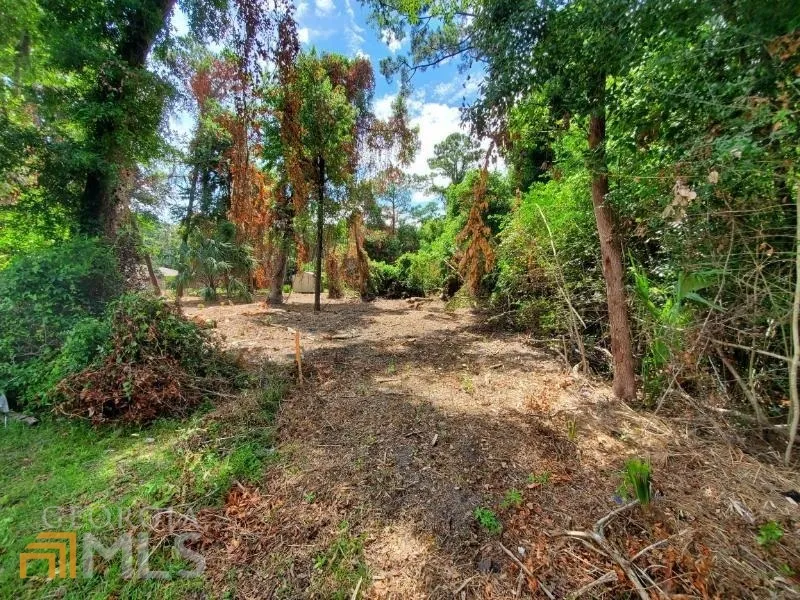 0 Norris ST St. Marys, GA 31558