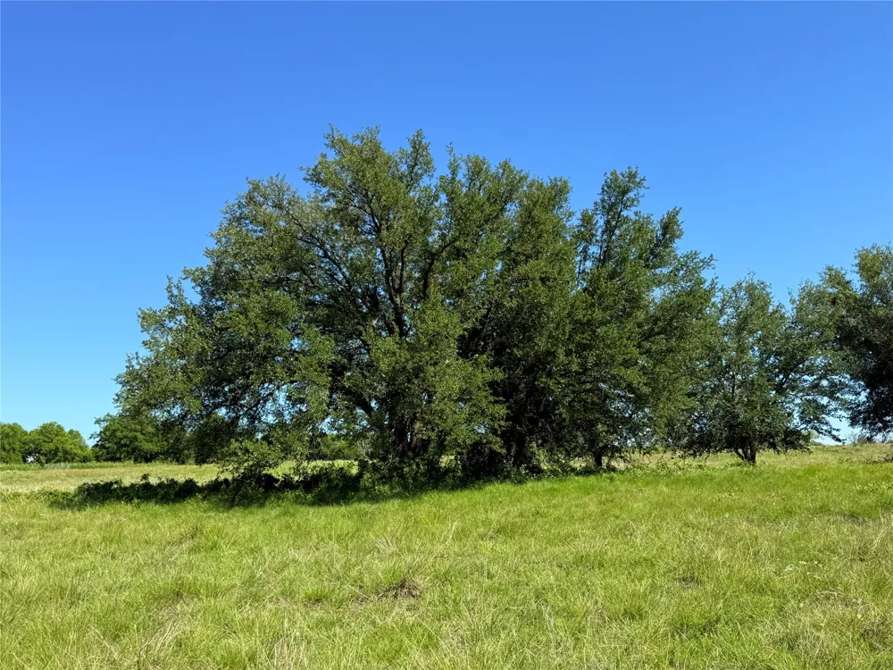 913 Rice Hamilton, TX 76531