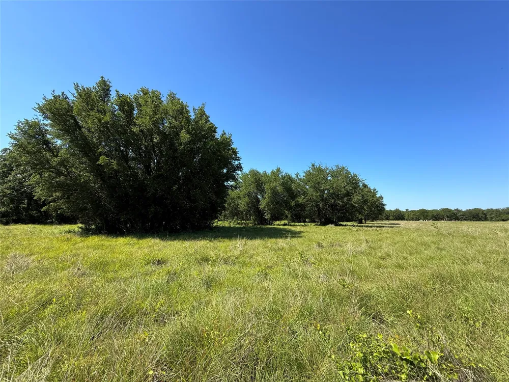 913 Rice Hamilton, TX 76531