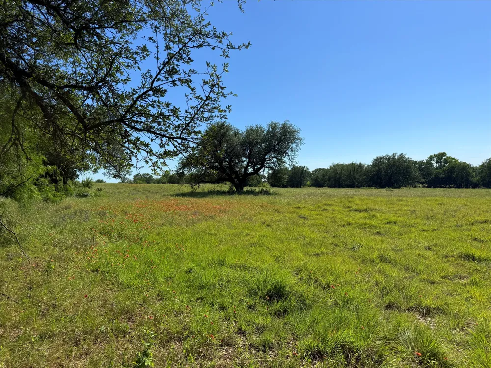 913 Rice Hamilton, TX 76531