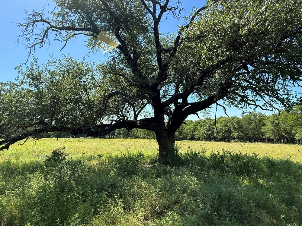 913 Rice Hamilton, TX 76531