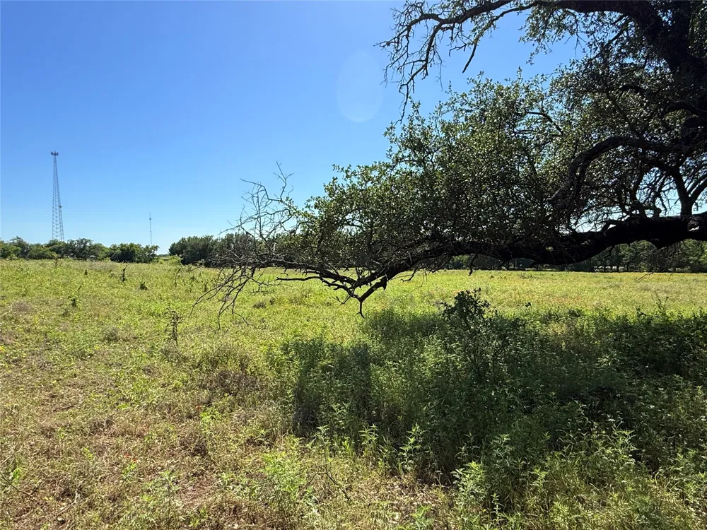 913 Rice Hamilton, TX 76531