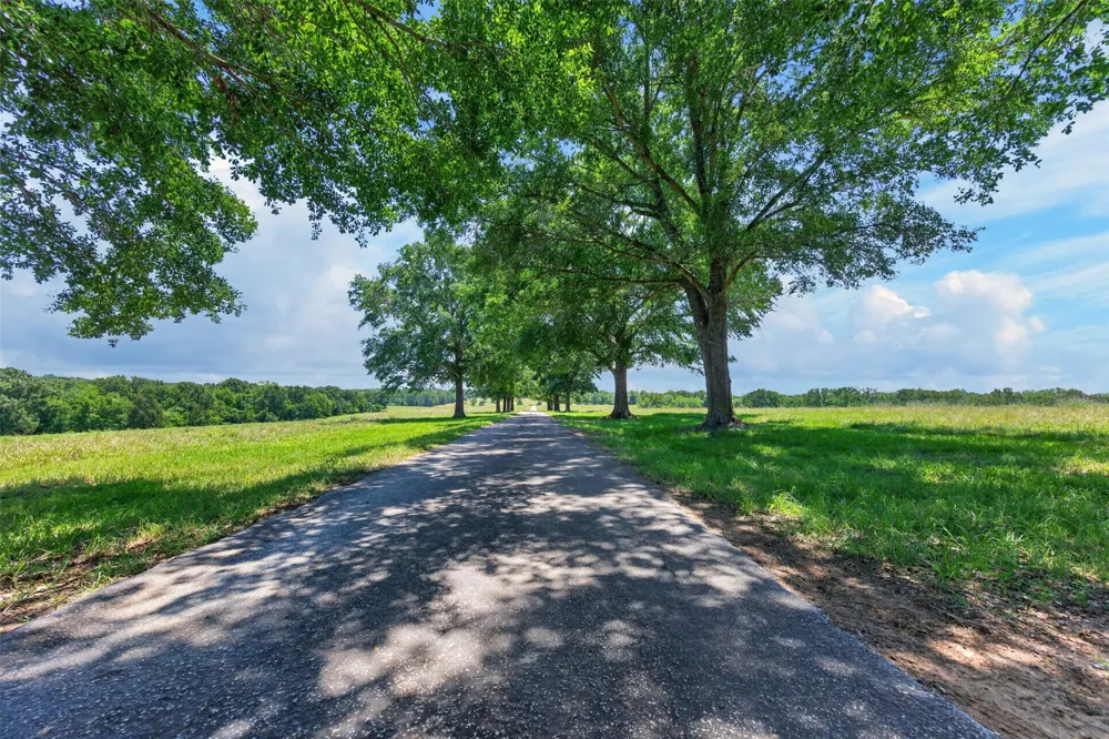 1053 ACR 499 Athens, TX 75751