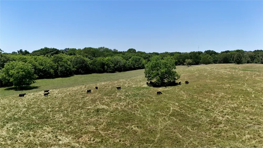 1053 ACR 499 Athens, TX 75751