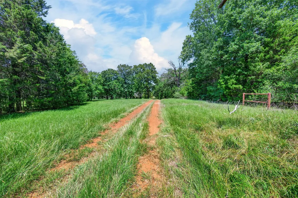 1053 ACR 499 Athens, TX 75751