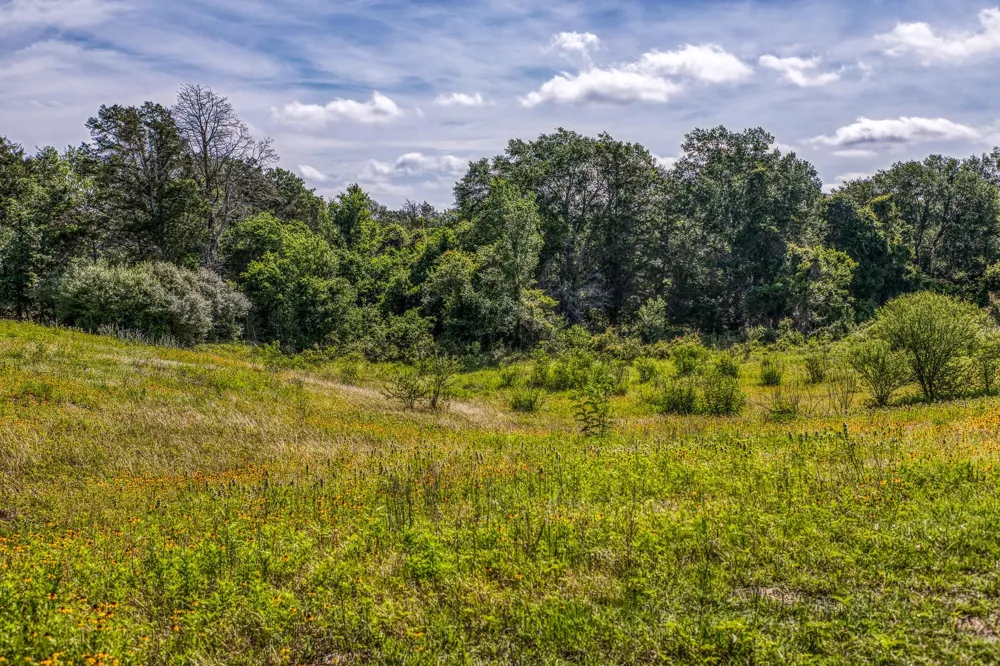 1237 Private Road 2181 Giddings, TX 78942