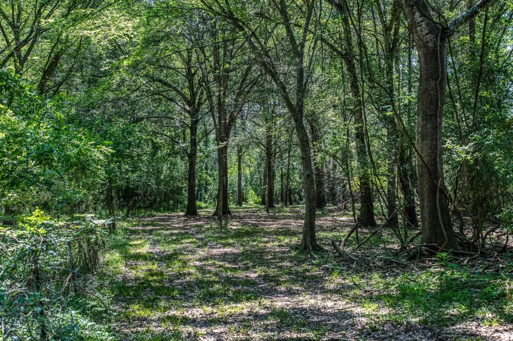 1237 Private Road 2181 Giddings, TX 78942
