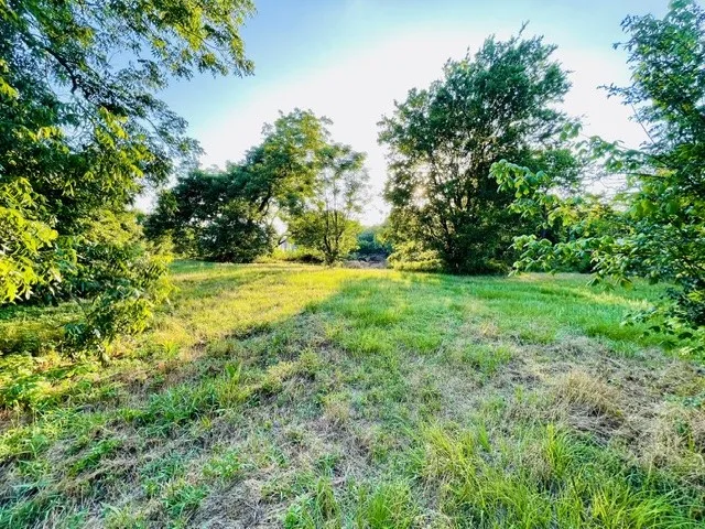628 S Johnson Street Mineola, TX 75773